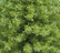 Environnement